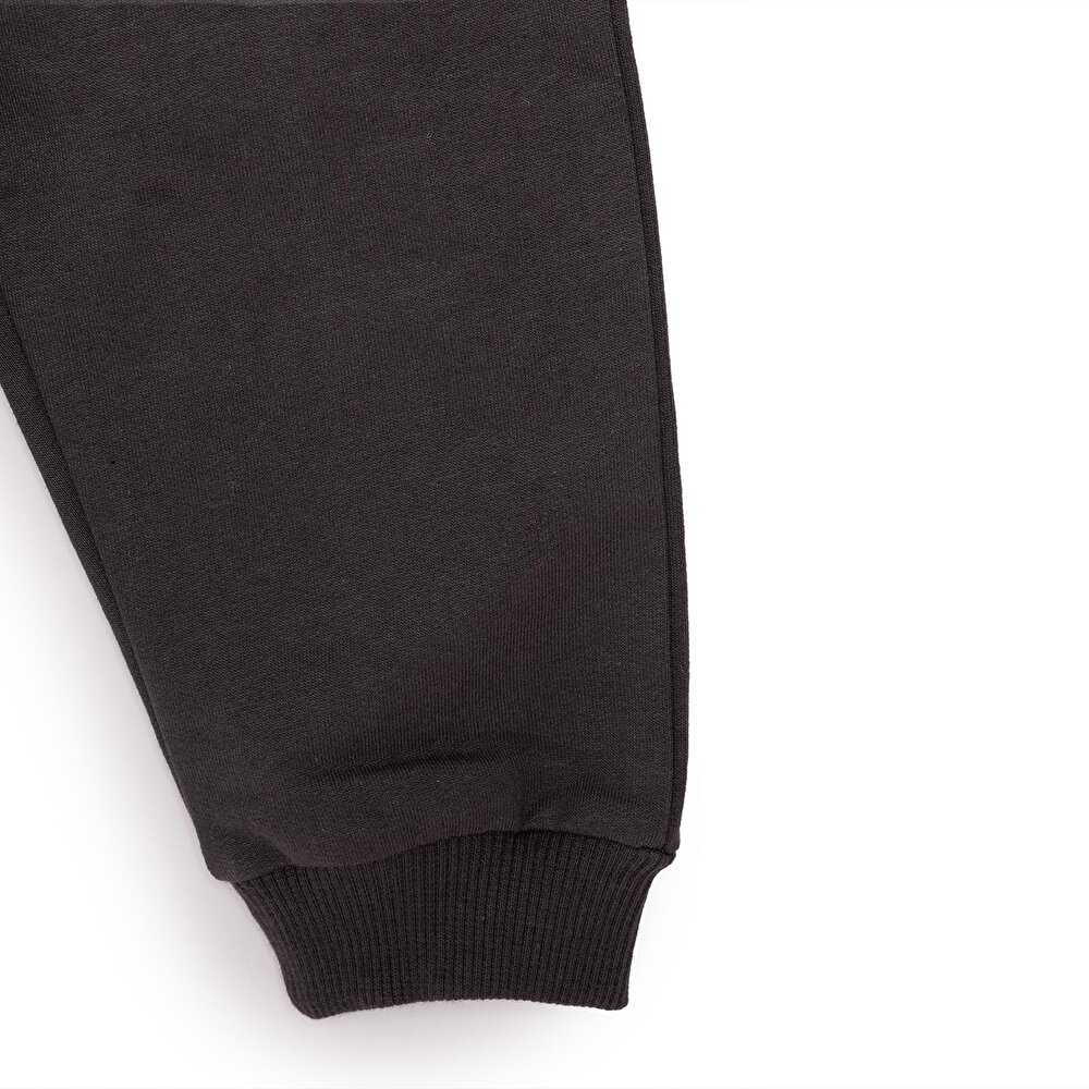 Basic Ayı Baskılı Az Şardonlu Eşofman Alt Unisex