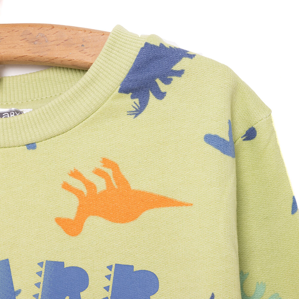 Basic Az Şardonlu Aslan Desenli Sweatshirt Erkek Bebek