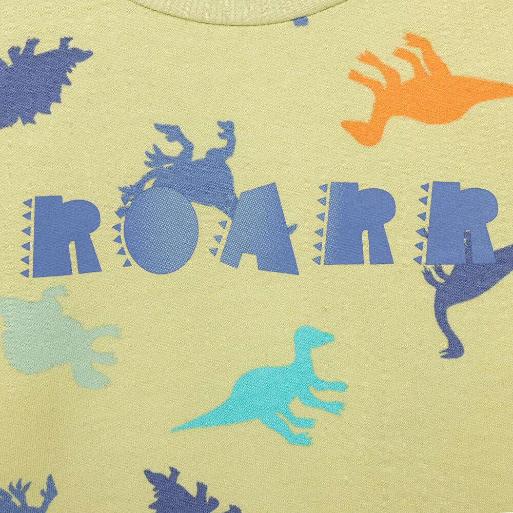 Basic Az Şardonlu Aslan Desenli Sweatshirt Erkek Bebek