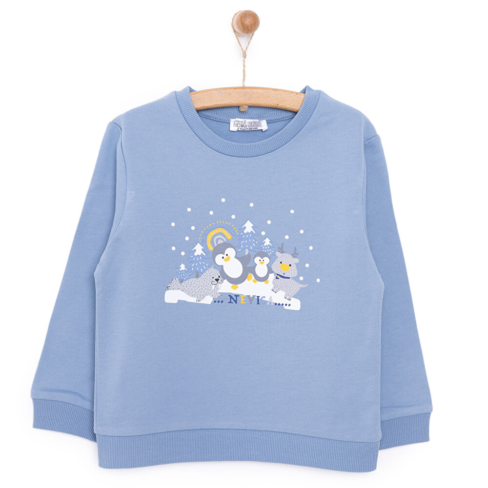 Basic Az Şardonlu Aslan Desenli Sweatshirt Erkek Bebek