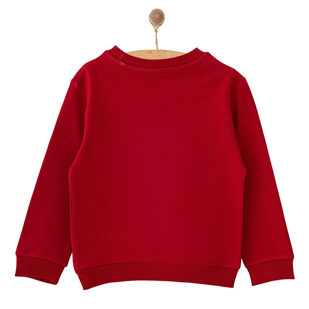 Erkek Bebek Sweatshirt Şardonlu Aslan Desenli Bisiklet Yaka Uzun Kol Bordo