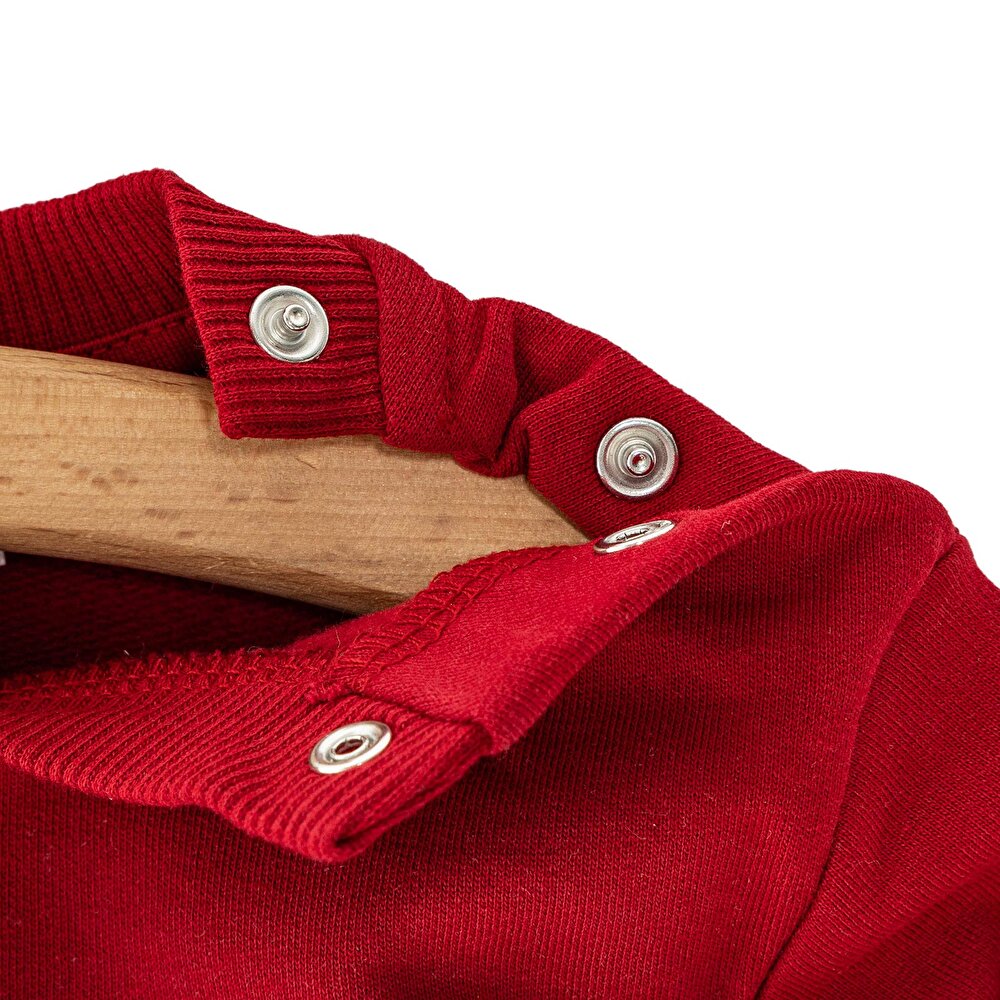 Erkek Bebek Sweatshirt Şardonlu Aslan Desenli Bisiklet Yaka Uzun Kol Bordo