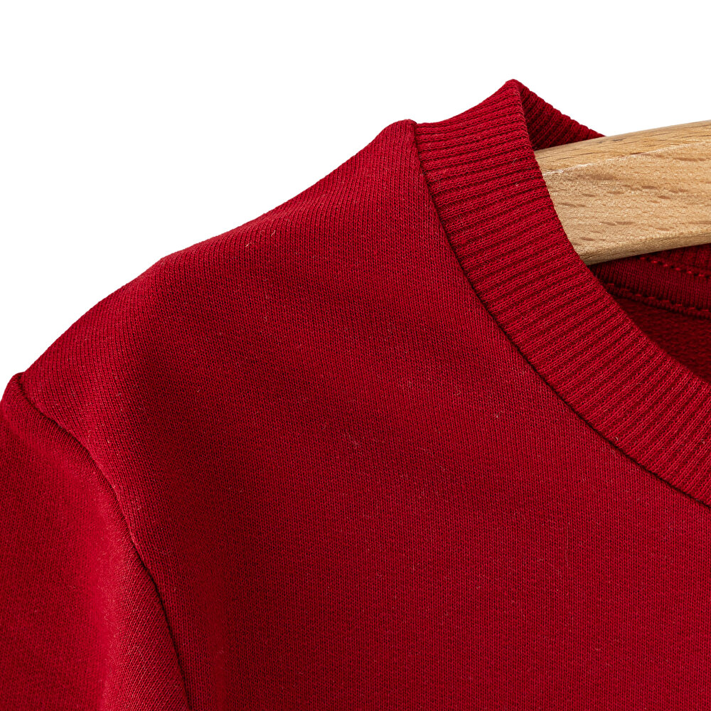Erkek Bebek Sweatshirt Şardonlu Aslan Desenli Bisiklet Yaka Uzun Kol Bordo