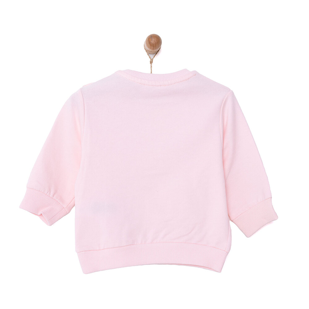 Basic Az Şardonlu Aslan Desenli Sweatshirt Kız Bebek
