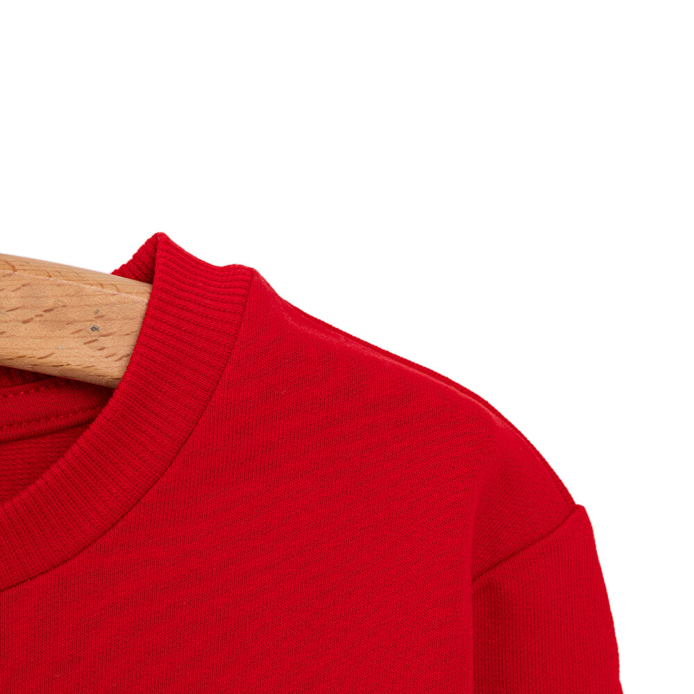 Kız Bebek Sweatshirt Şardonlu Aslan Desenli Bisiklet Yaka Uzun Kol Kırmızı