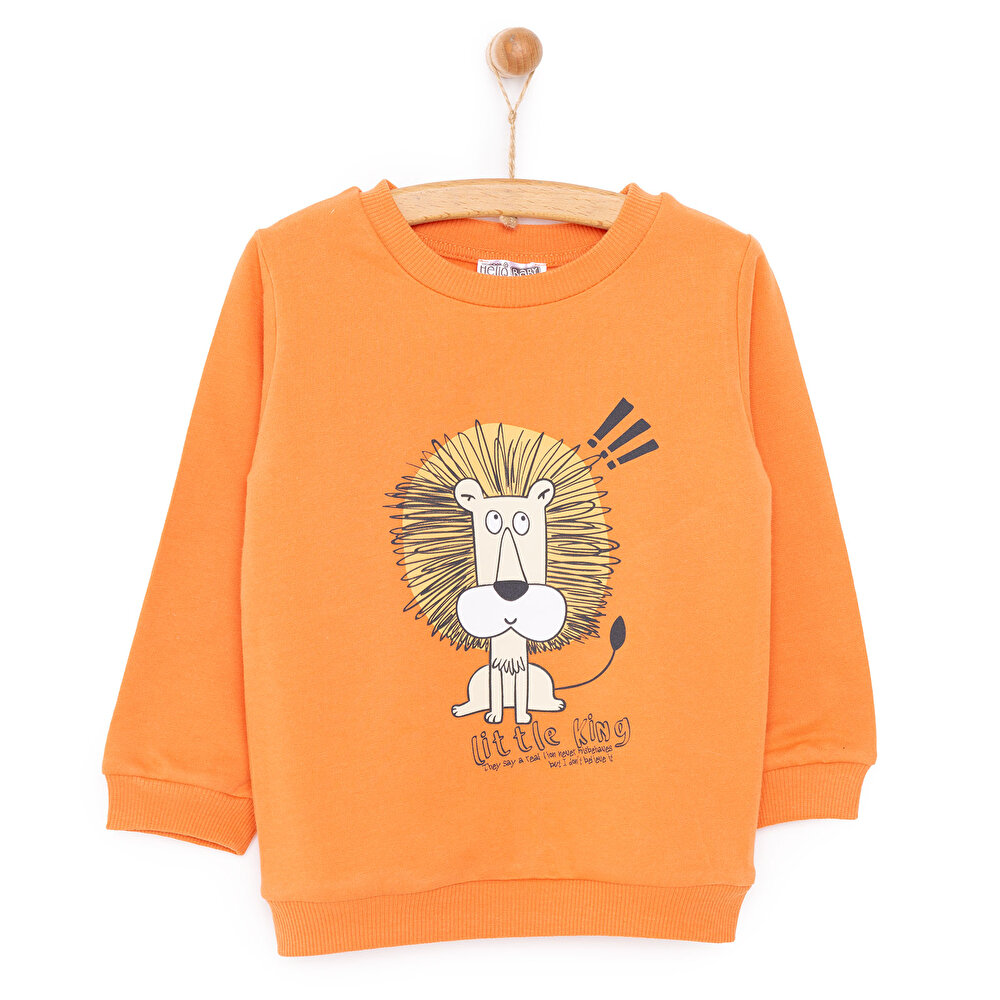 Basic Az Şardonlu Aslan Desenli Sweatshirt