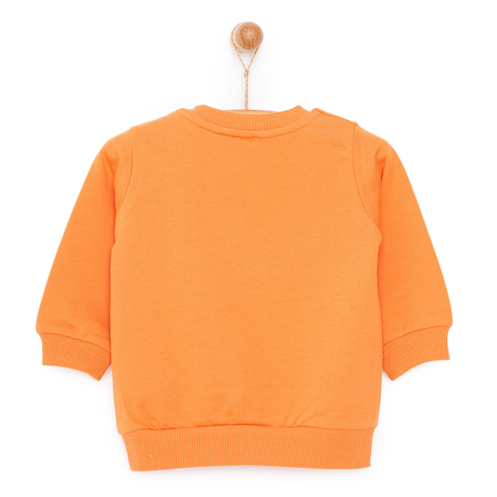 Basic Az Şardonlu Aslan Desenli Sweatshirt