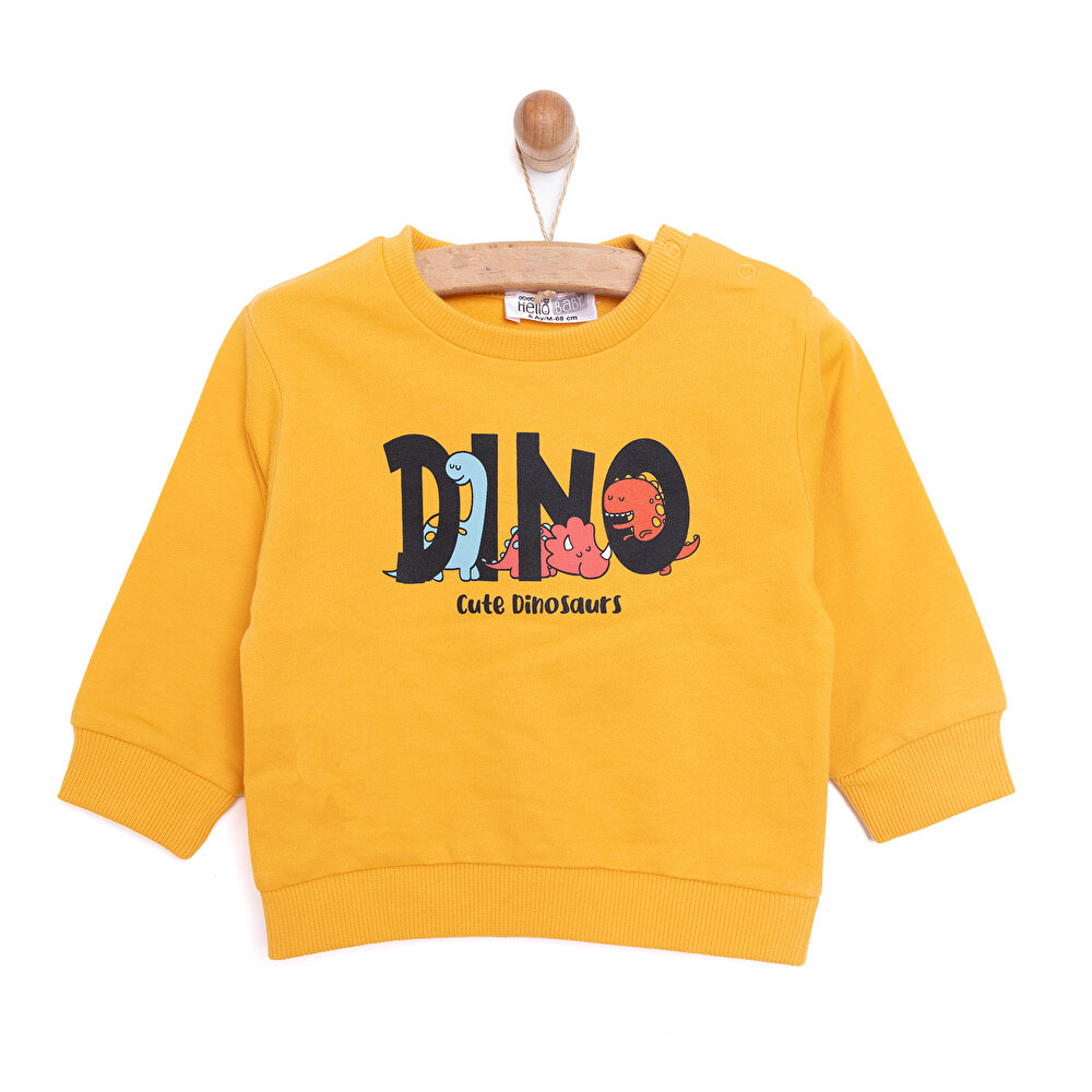 Basic Az Şardonlu Dino Baskılı Sweatshirt Erkek Bebek