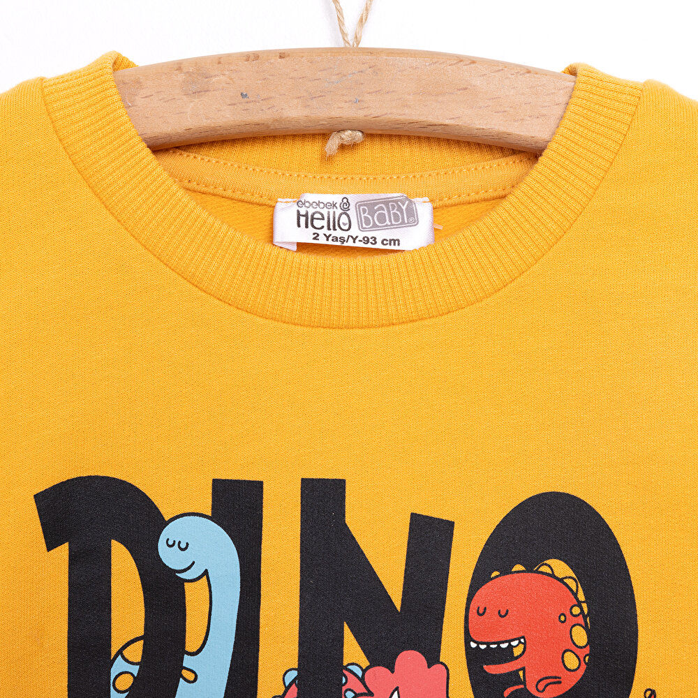 Basic Az Şardonlu Dino Baskılı Sweatshirt Erkek Bebek