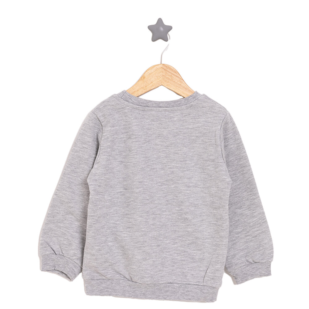 Erkek Bebek Sweatshirt Şardonlu Dinokater Desenli Bisiklet Yaka Uzun Kol