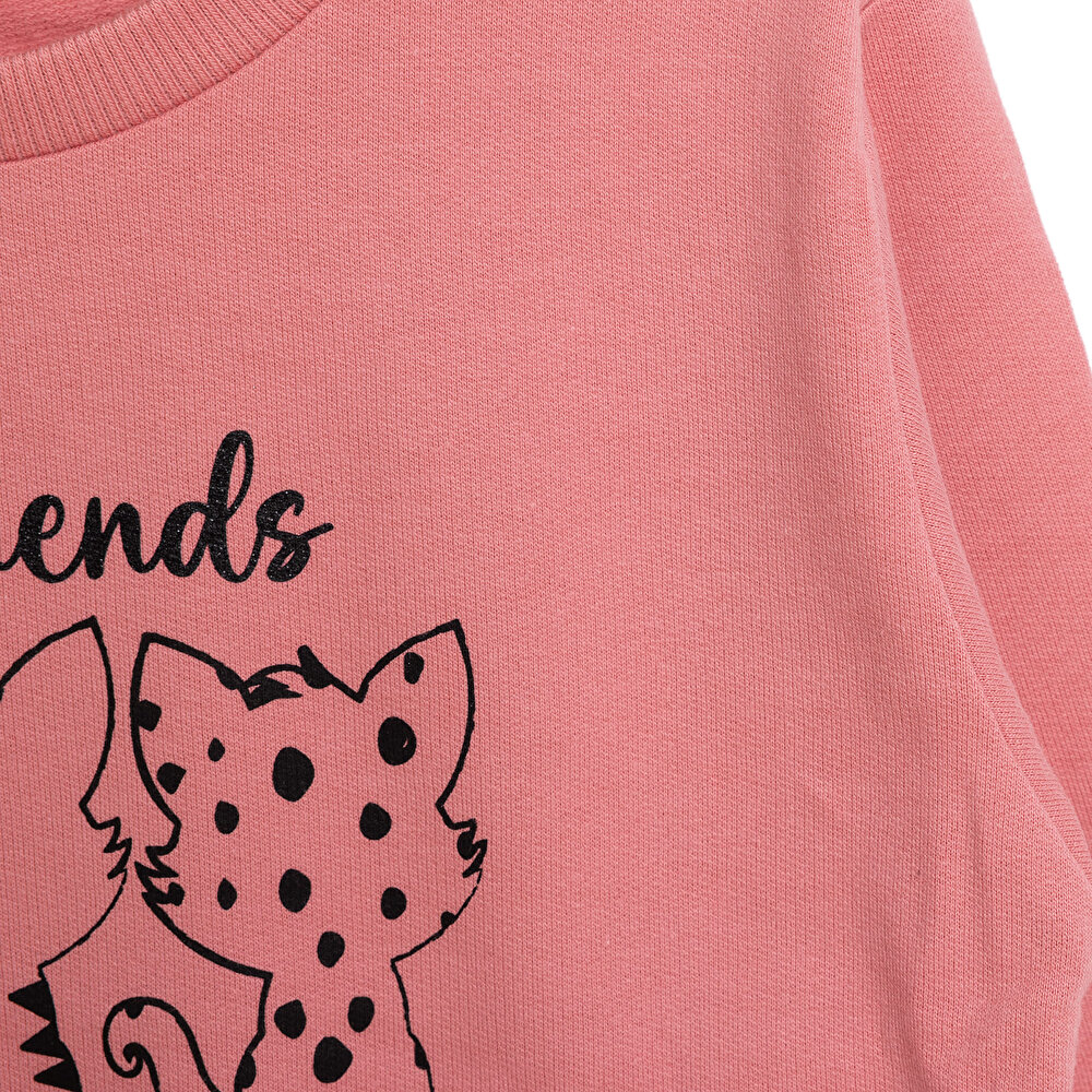 Kız Bebek Sweatshirt Şardonlu Kedi Desenli Bisiklet Yaka Uzun Kol Gül Kurusu