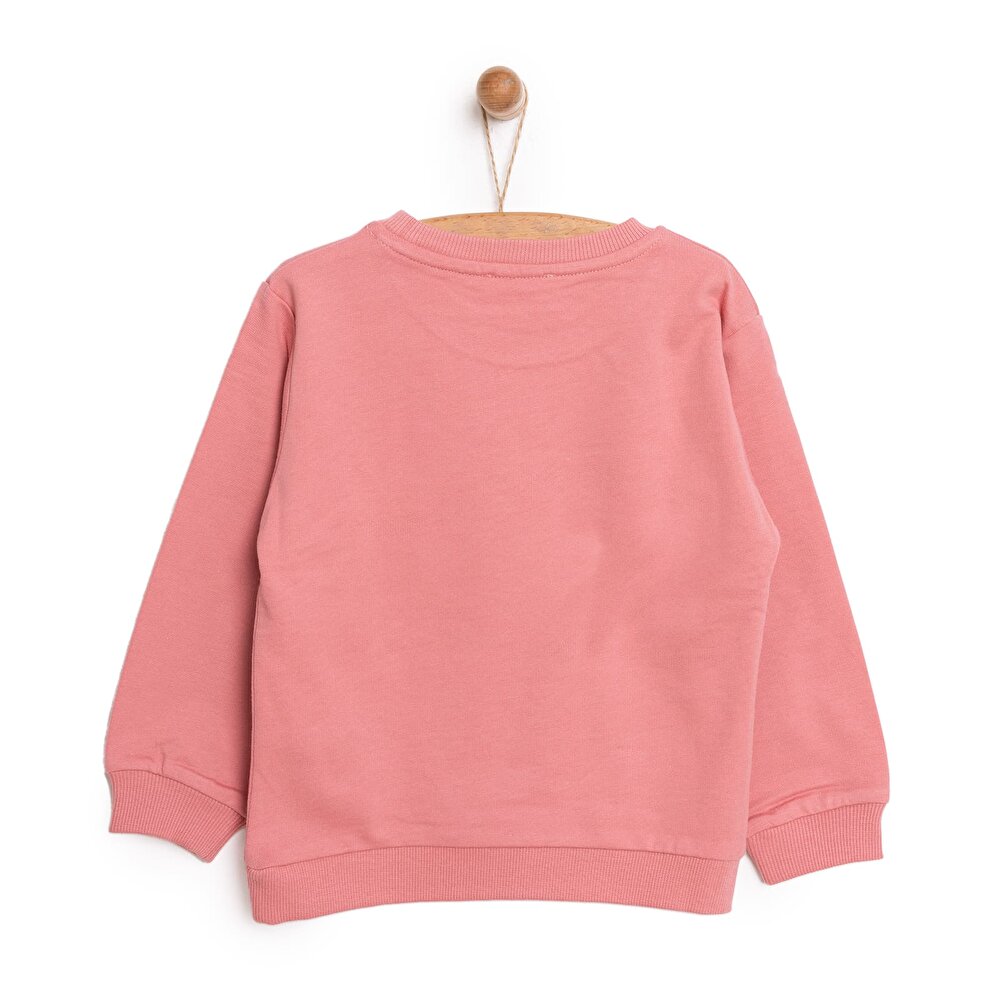 Kız Bebek Sweatshirt Şardonlu Kedi Desenli Bisiklet Yaka Uzun Kol Gül Kurusu