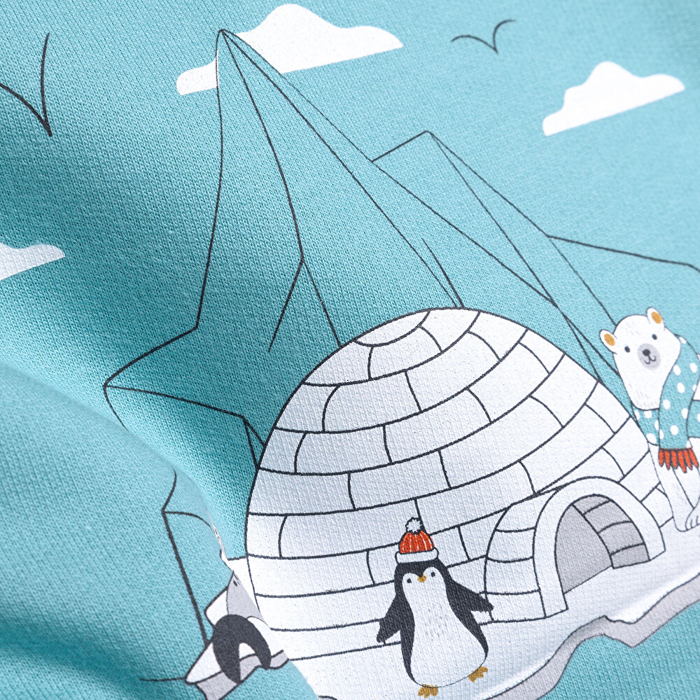 Erkek Bebek Sweatshirt Kutup Temalı Desen Çıtçıtlı Bisiklet Yaka Uzun Kol Turkuaz