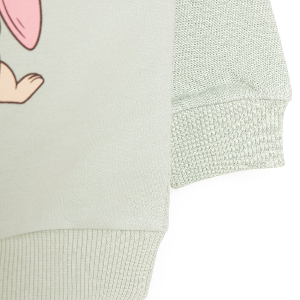 Kız Bebek Sweatshirt Şardonlu Sincap Desenli Bisiklet Yaka Uzun Kol Mint