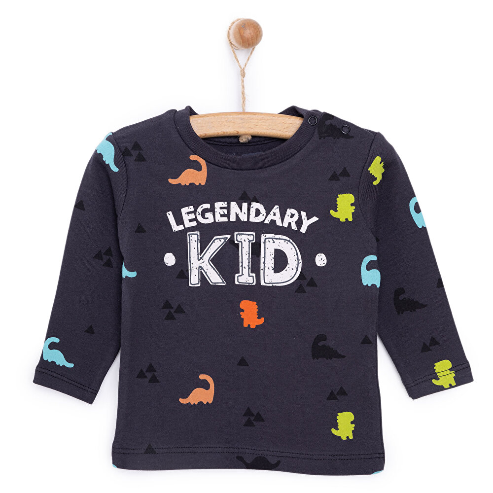 Basic Dinazor  Desenli İnterlok  Uzun kol Tshirt Erkek Bebek