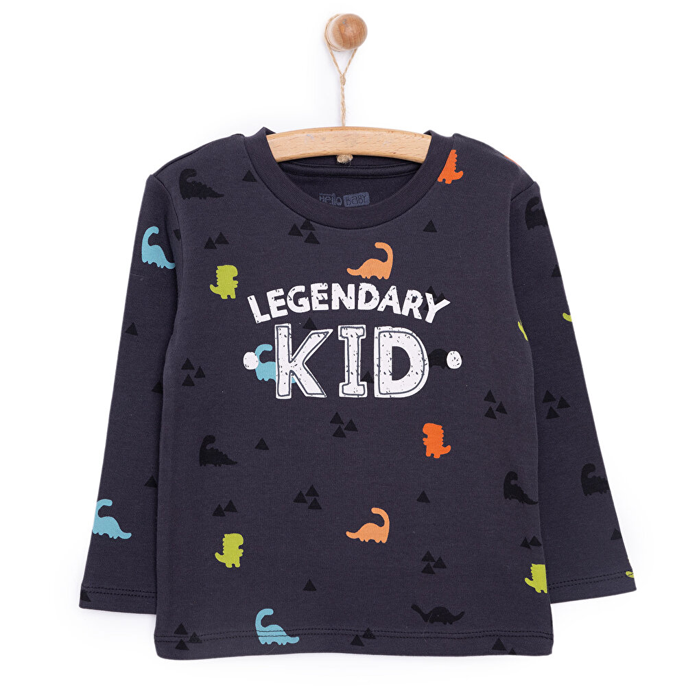 Basic Dinazor Desenli İnterlok Uzun kol Tshirt Erkek Bebek