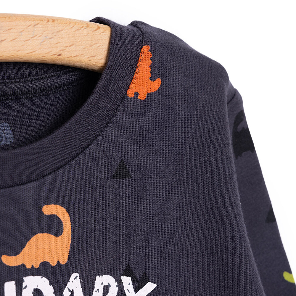 Basic Dinazor Desenli İnterlok Uzun kol Tshirt Erkek Bebek