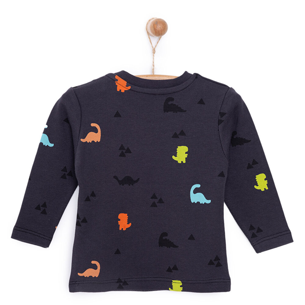 Basic Dinazor Desenli İnterlok Uzun kol Tshirt Erkek Bebek