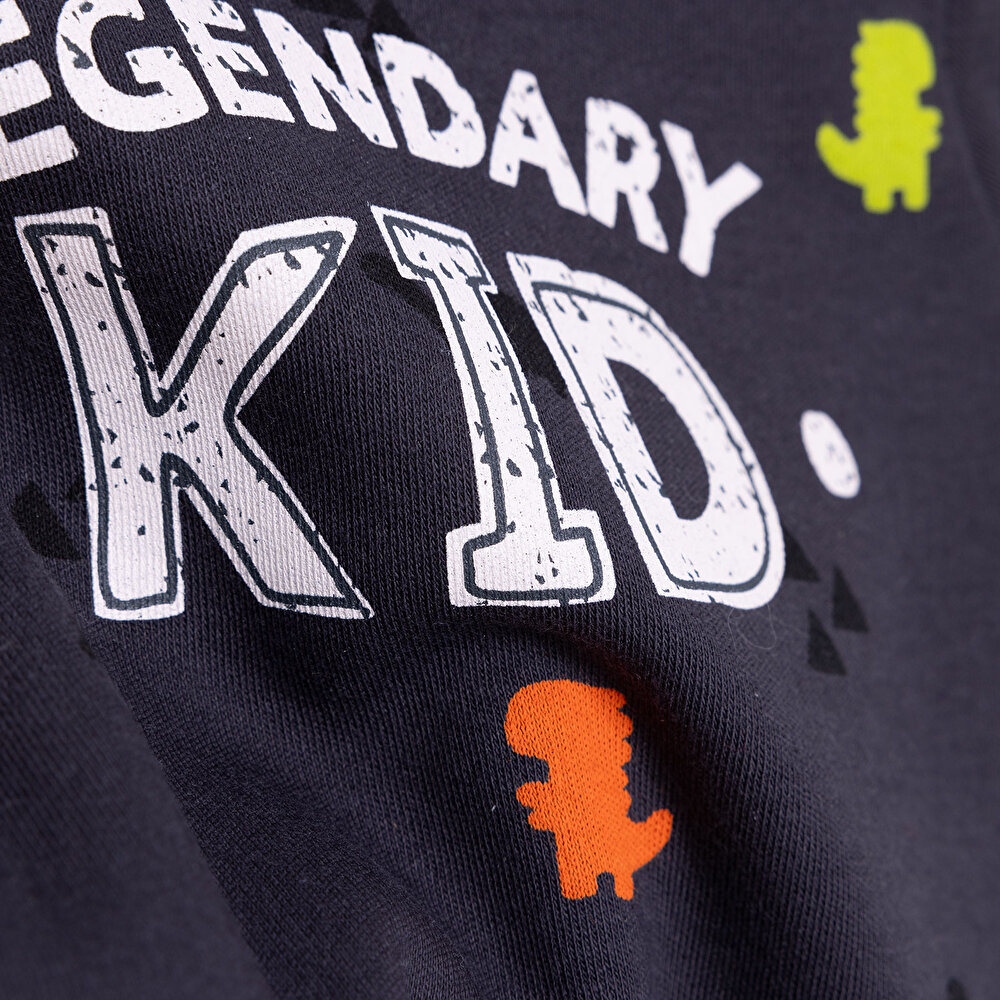 Basic Dinazor Desenli İnterlok Uzun kol Tshirt Erkek Bebek