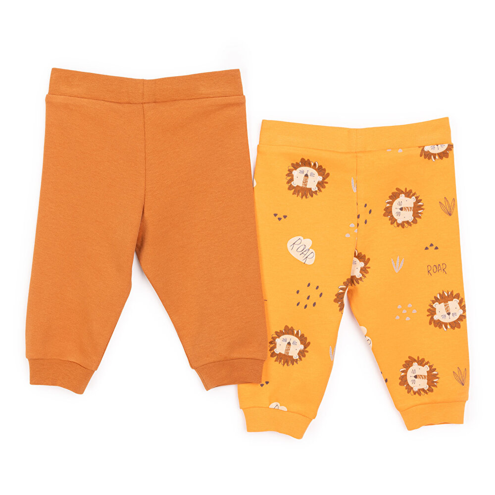 Basic Erkek Aslan Baskılı 2li Patiksiz Alt Erkek Bebek