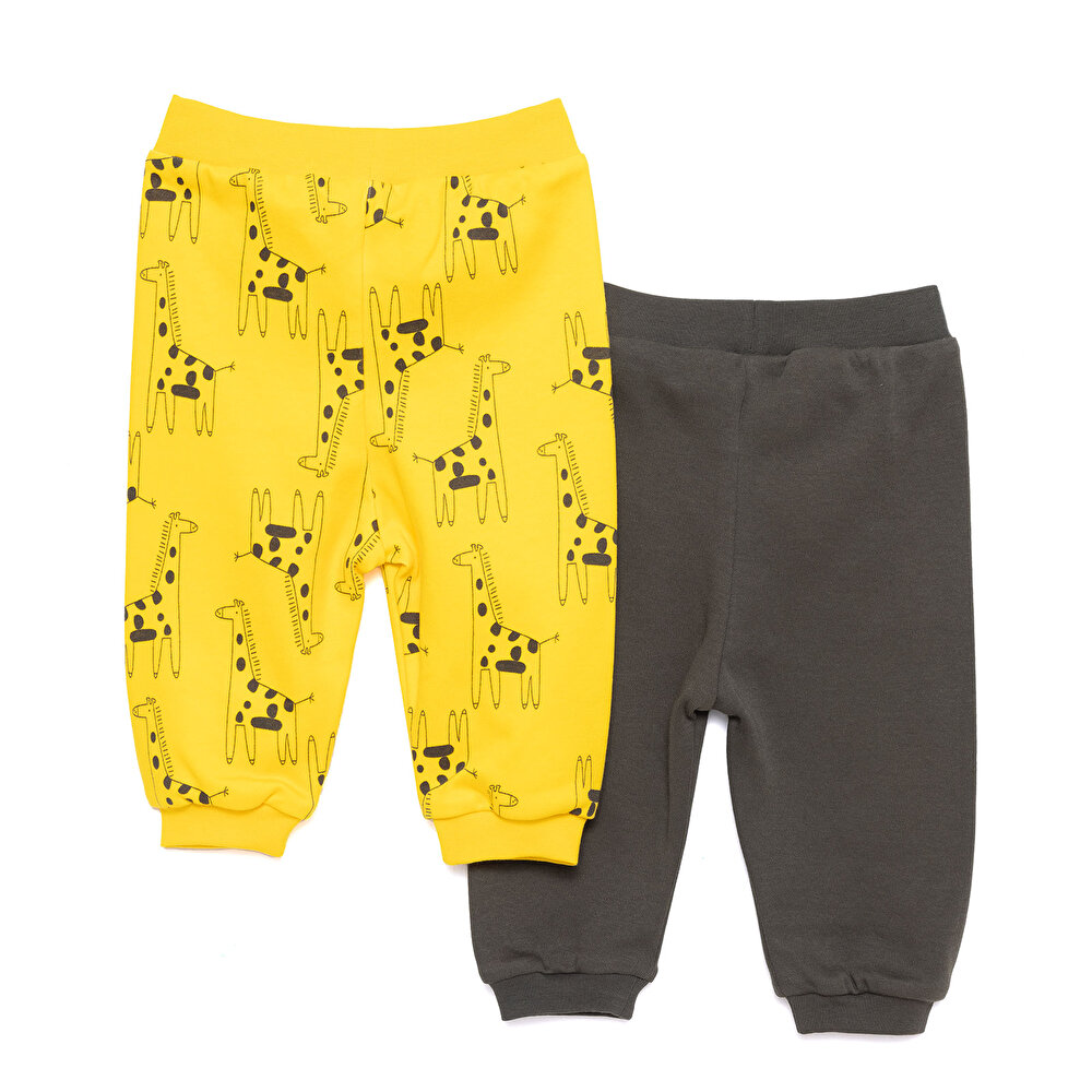 Basic Erkek Dinozor Desenli 2li Patiksiz Alt Erkek Bebek
