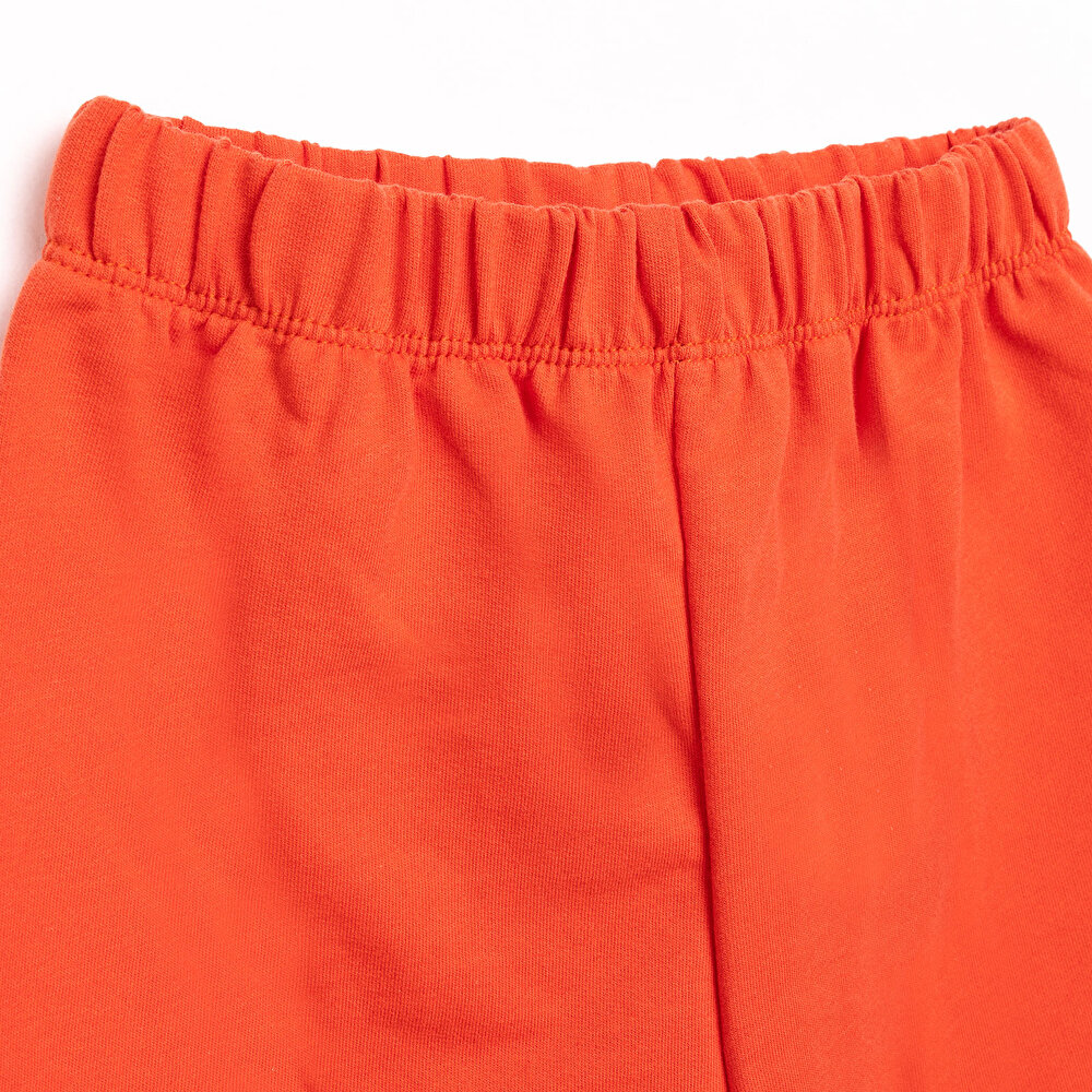 Basic Erkek Hayvan Baskılı Şortlu Takım Erkek Bebek