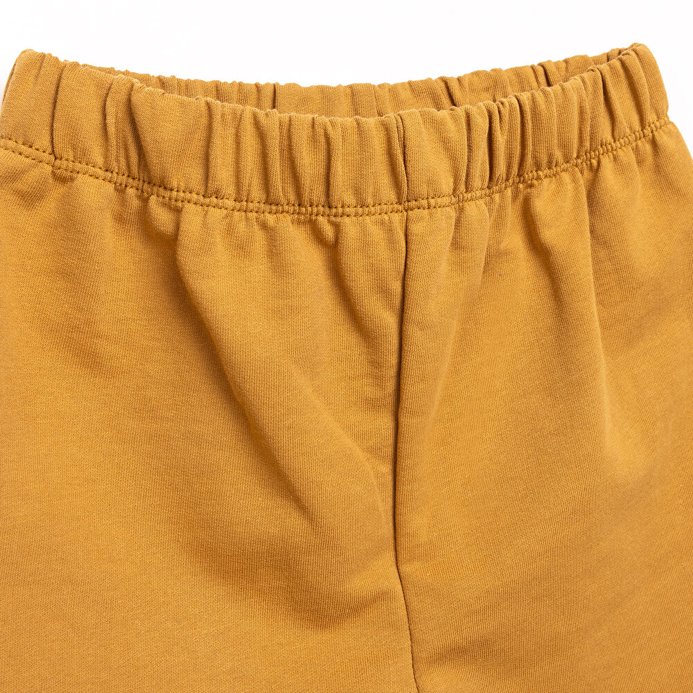 Basic Erkek Şampiyon Dinozor Baskılı Şortlu Takım Erkek Bebek