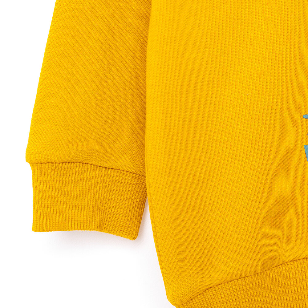 Basıc Eşofman Takımı Erkek Bebek