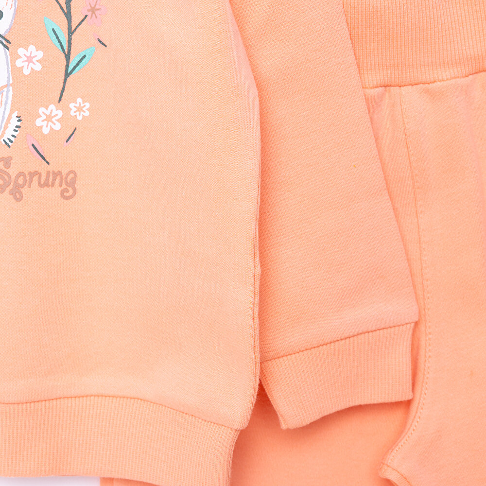 Basıc Eşofman Takımı Kız Bebek