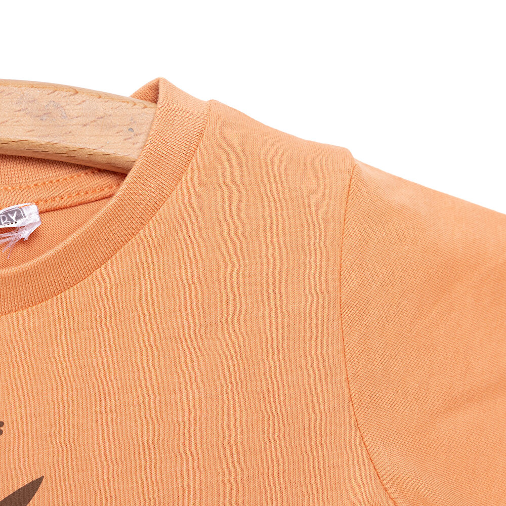 Basic Koala Baskılı  Tshirt Erkek Bebek