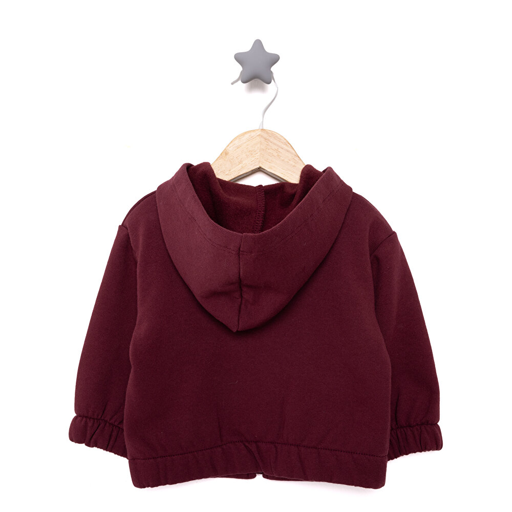 Basic Hooded Cardigan