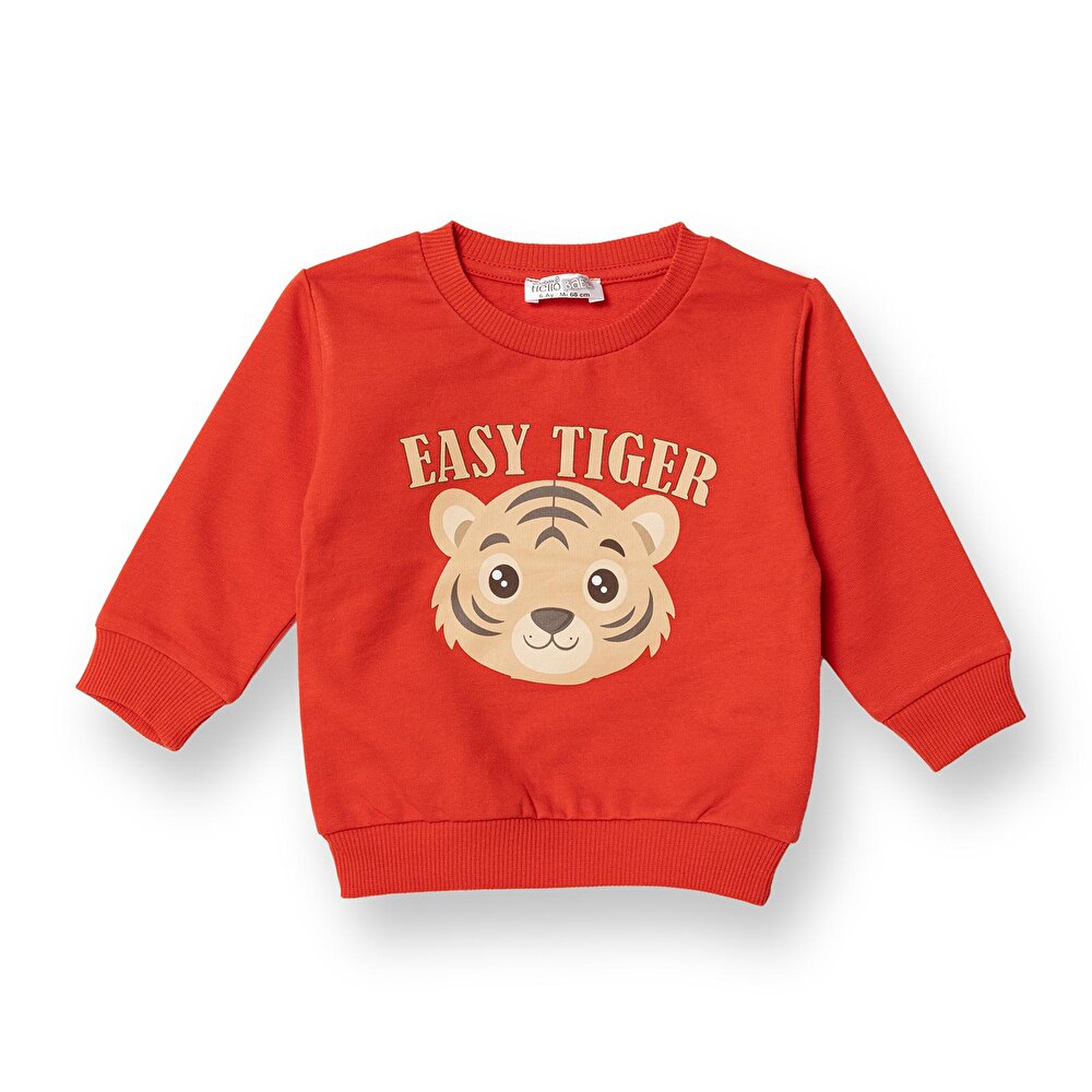 Basic Sweatshirt