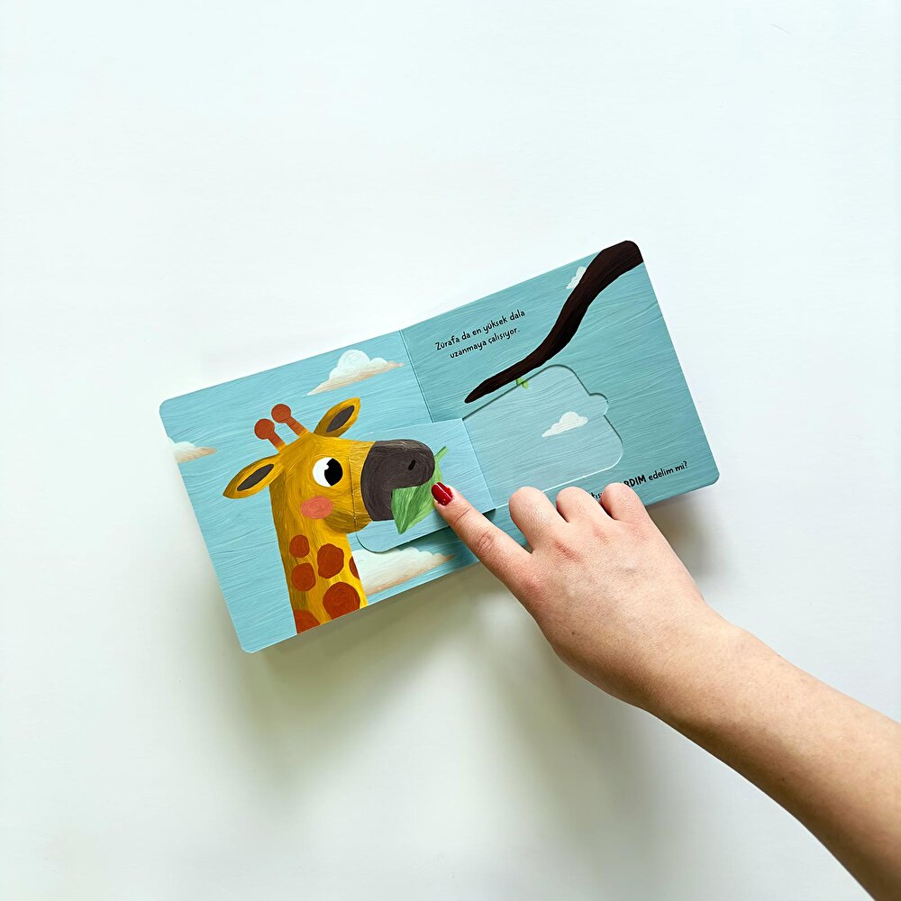 Bebek Üniversitesi 3-Hikayeli İlk Kavramlarım Set (4 Kitap)