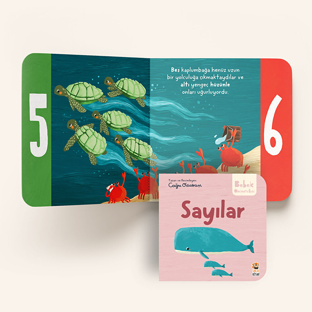 Bebek Üniversitesi Seti 2: Hikayeli İlk Kavramlarım (4 Kitap Takım) - Çağrı Odabaşı