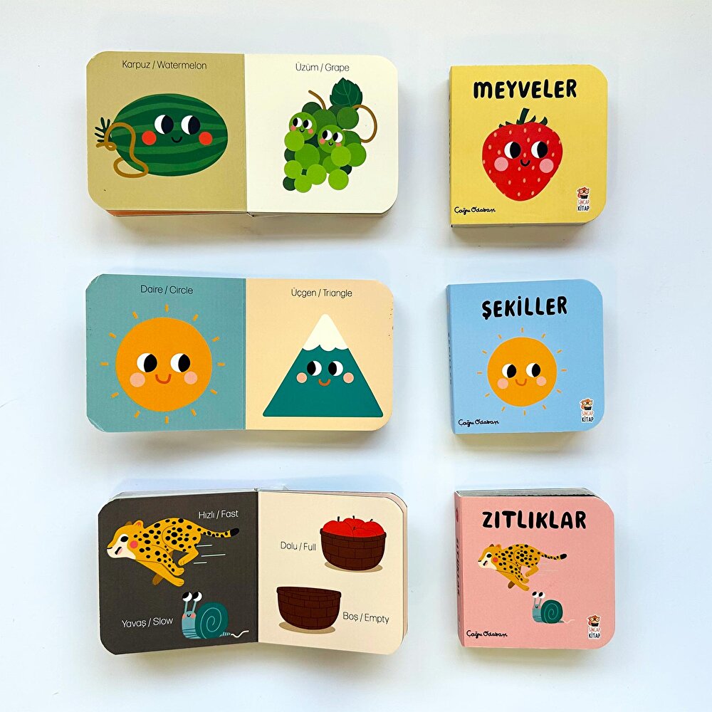 Bilgi Dolu Minik Kütüphanem