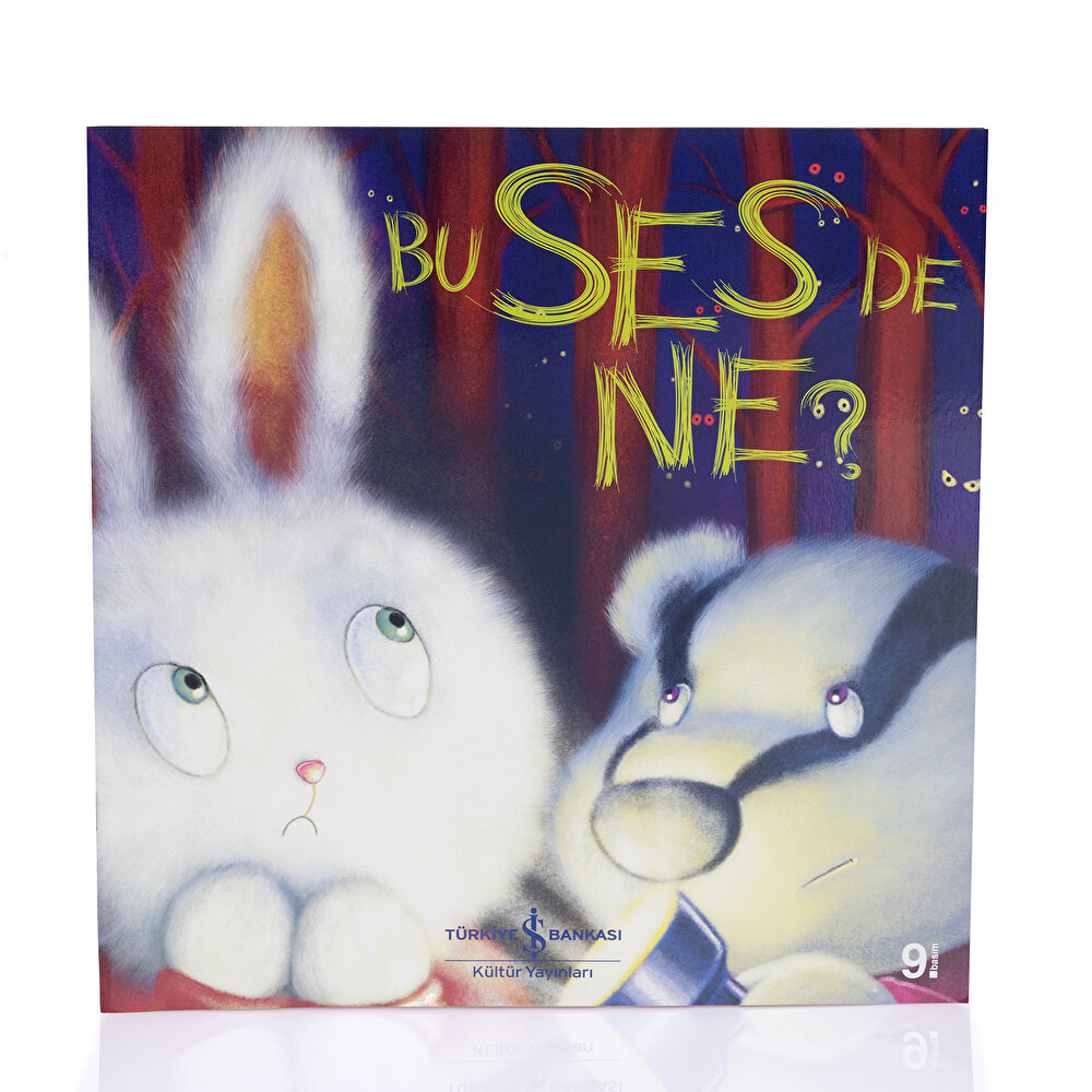 Bu Ses De Ne