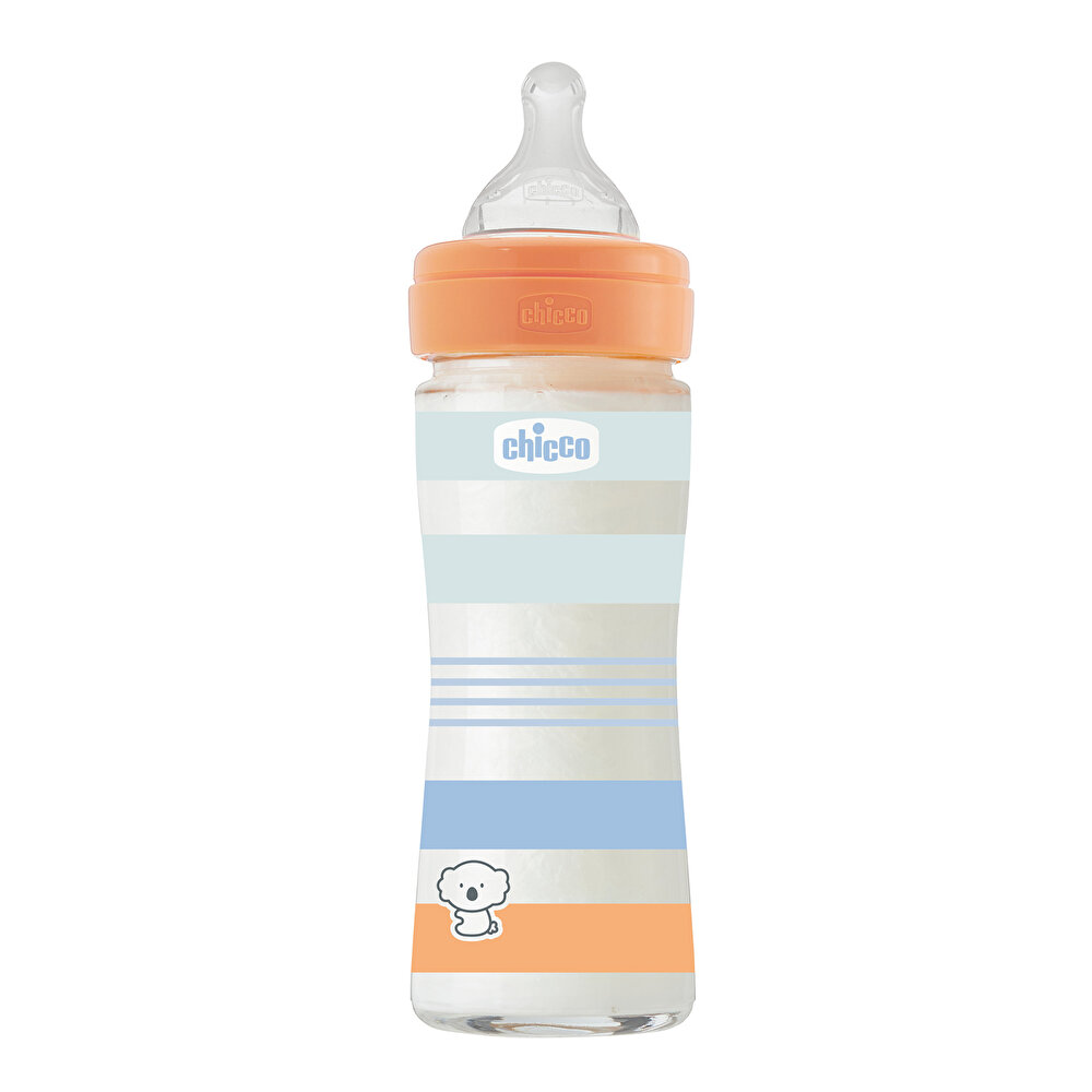 Wellbeing Yavaş Akış Mavi Cam Biberon 240 ml 0+ Ay