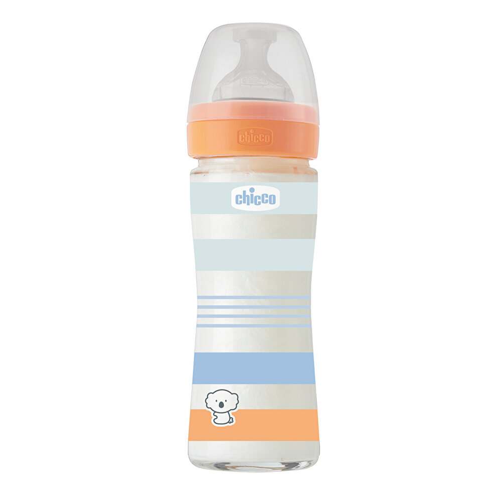 Wellbeing Yavaş Akış Mavi Cam Biberon 240 ml 0+ Ay