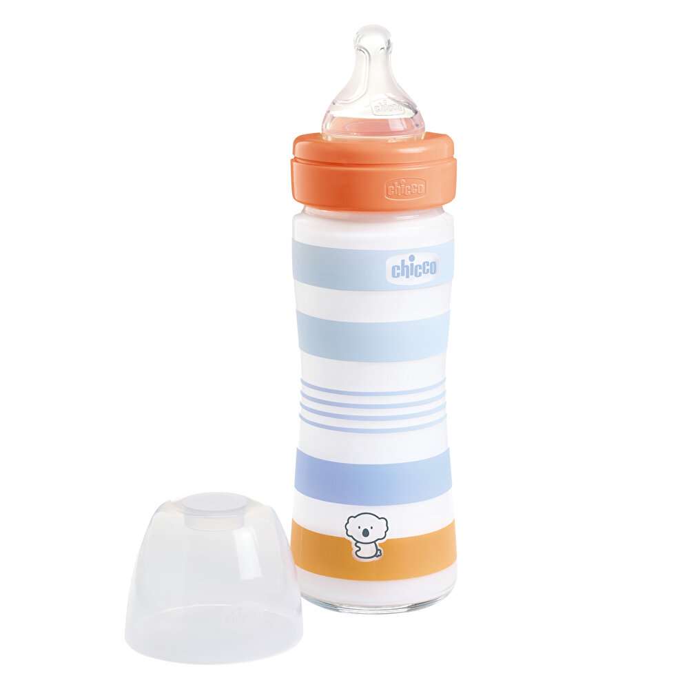 Wellbeing Yavaş Akış Mavi Cam Biberon 240 ml 0+ Ay