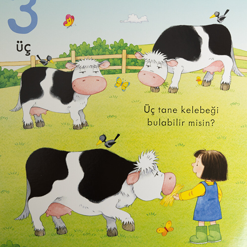 Çiftlik Öy.-İnci Ve Ege İle Saymayı Öğreniyorum