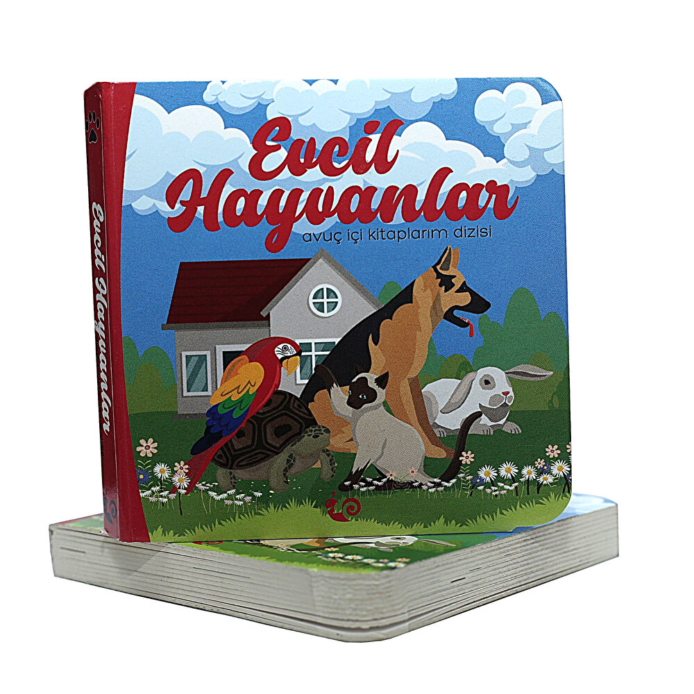 Avuç içi Kitaplarım Dizisi Evcil Hayvanlar