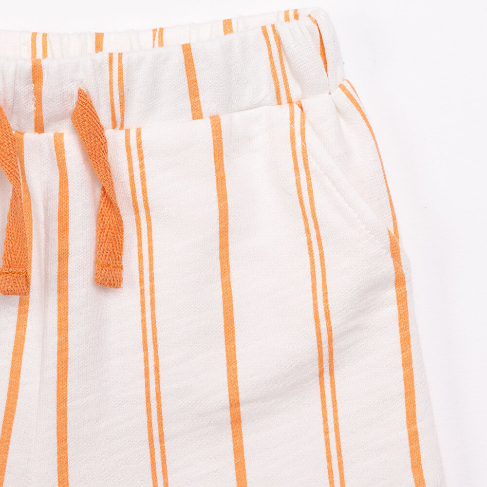 Crocodile Erkek Şort Erkek Bebek