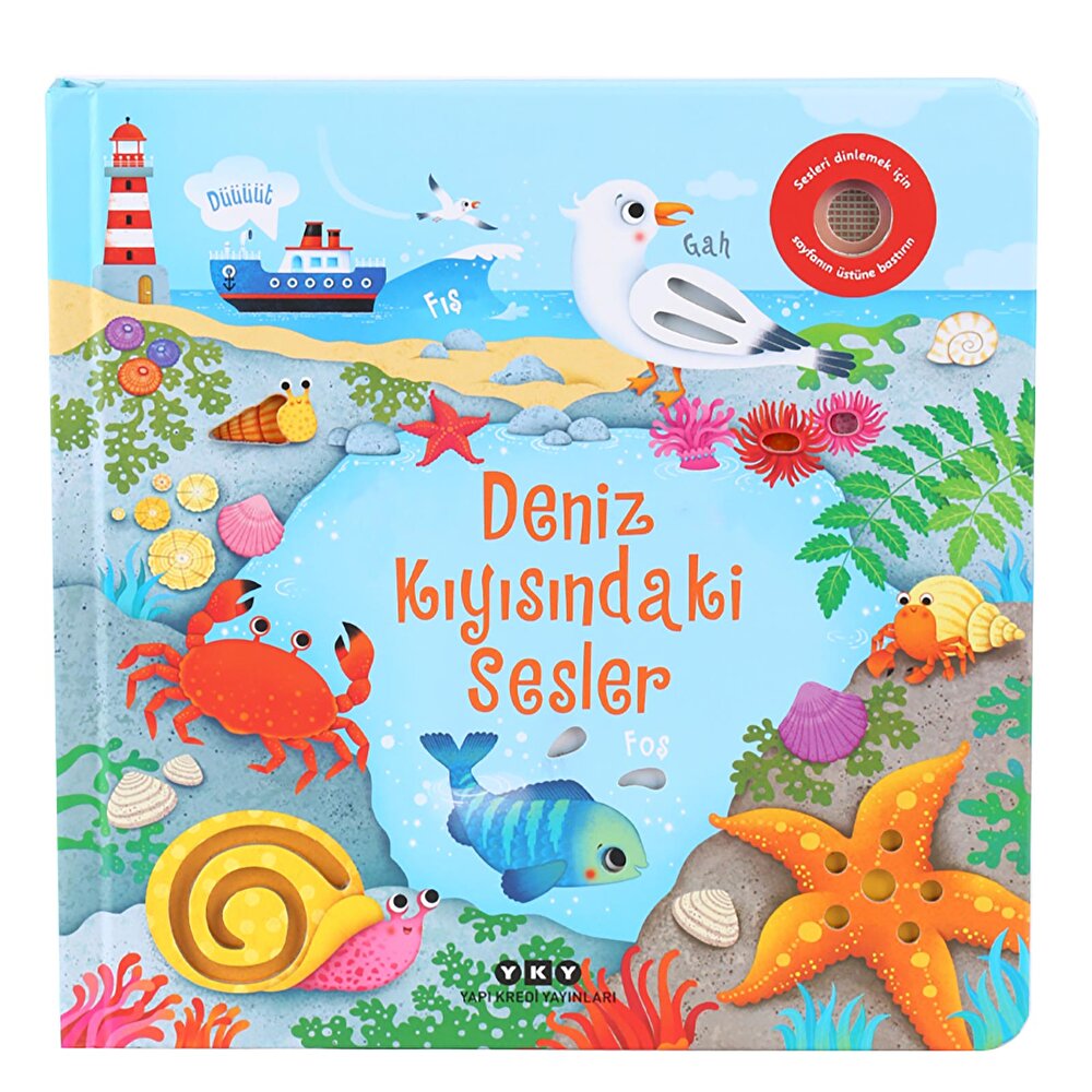 Deniz Kıyısındaki Sesler (Resimli Ve Sesli Kitap)