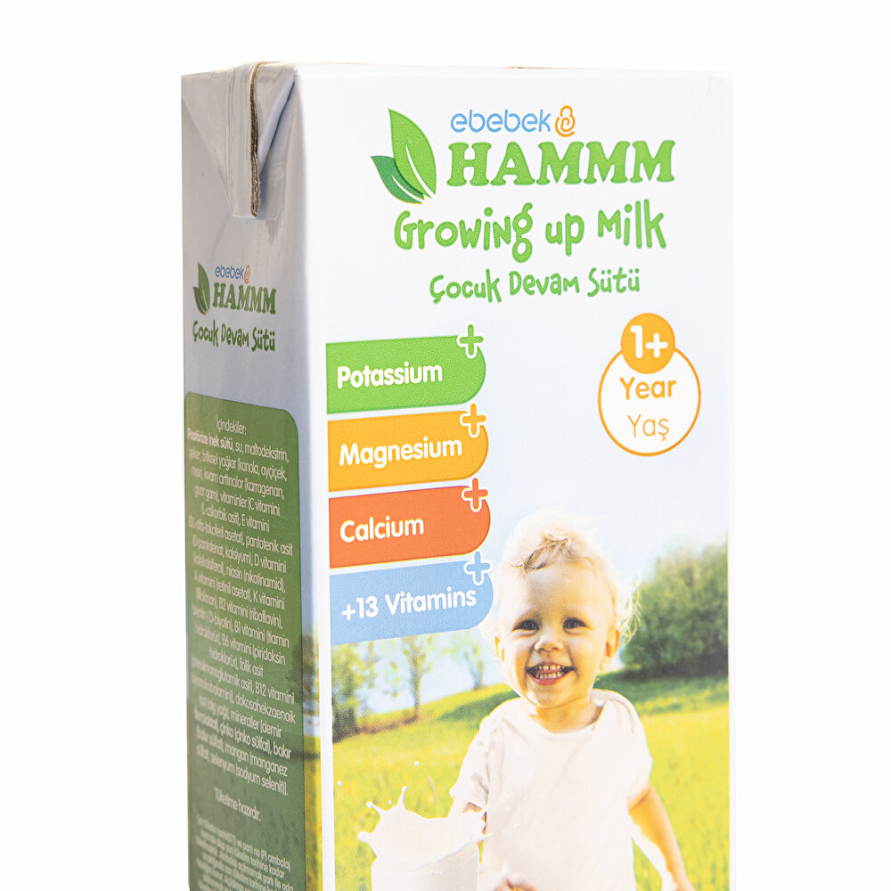 Devam Sütü 500 ml