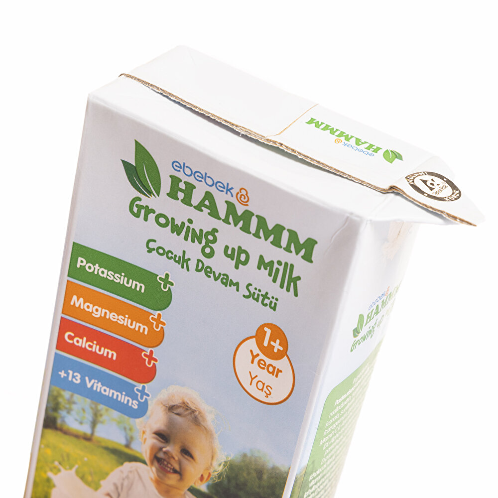 Devam Sütü 500 ml