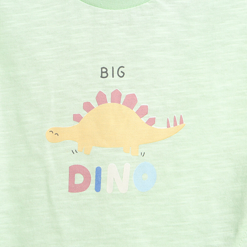 Dino Party Tshirt-Şort Takım Erkek Bebek