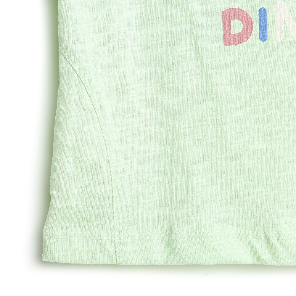 Dino Party Tshirt-Şort Takım Erkek Bebek