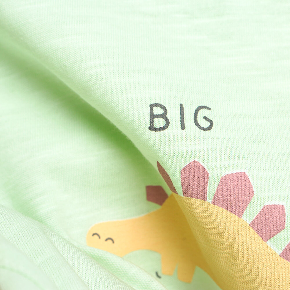 Dino Party Tshirt-Şort Takım Erkek Bebek