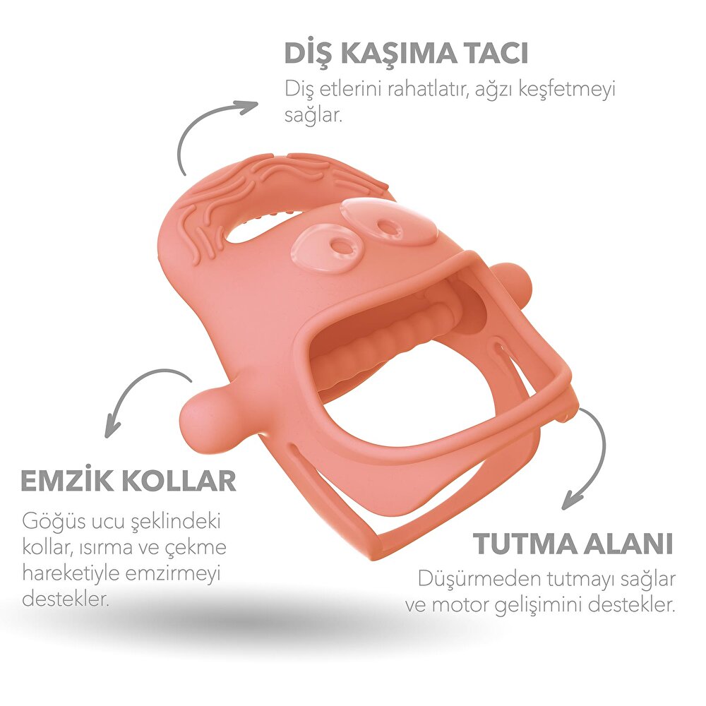 Diş Kaşıyıcı Somon