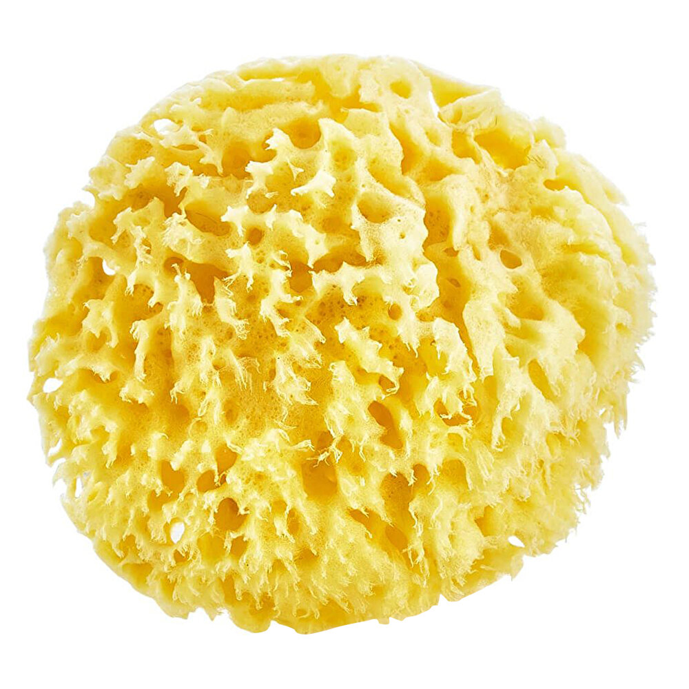 Doğal Deniz Bebek Banyo Süngeri